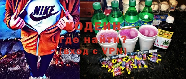 молекула духа Бородино