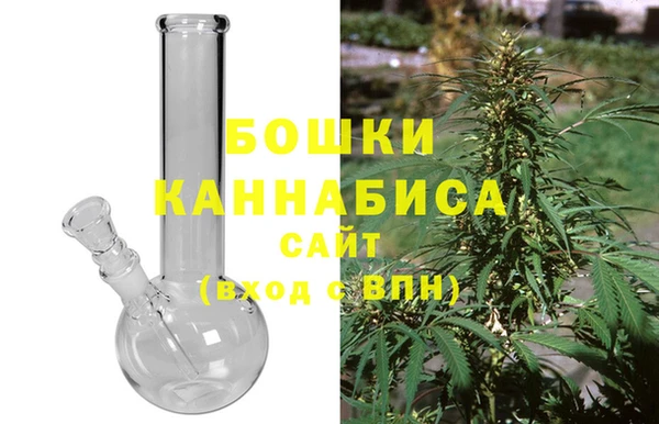 молекула духа Бородино