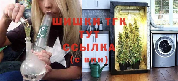 дмт Богородицк
