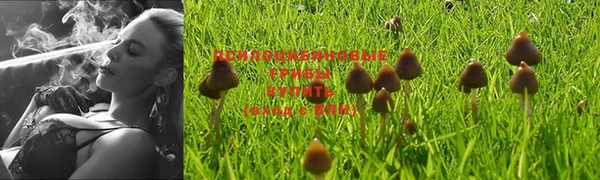 экстази Нефтекумск