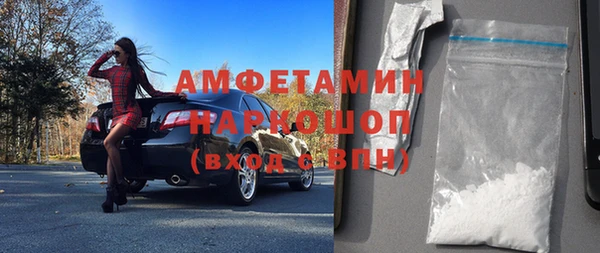 молекула духа Бородино