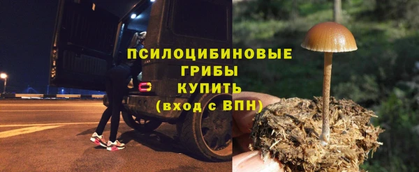 дмт Богородицк