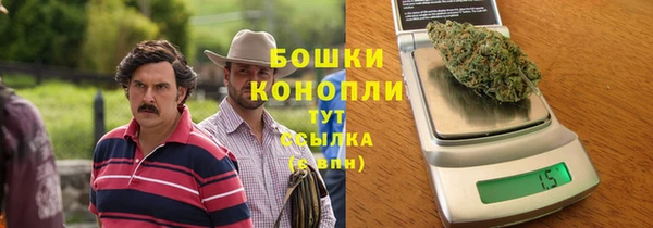 молекула духа Бородино