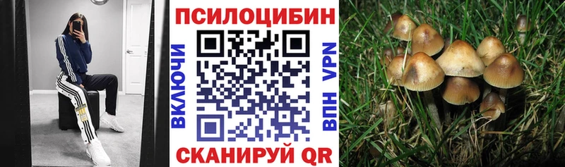 Галлюциногенные грибы Cubensis  Купить закладки  Краснокамск 